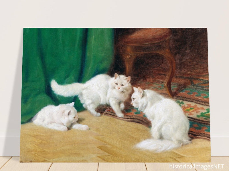Three white cats playing old painting by Arthur Heyer.