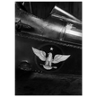 Eagle emblem on airplane Vintage aircraft old photograph reproduction