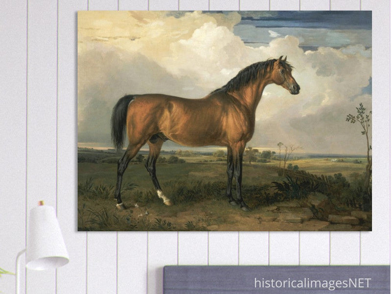 Old painting of a brown horse. Eagle, a Celebrated Stallion by James Ward 1809.