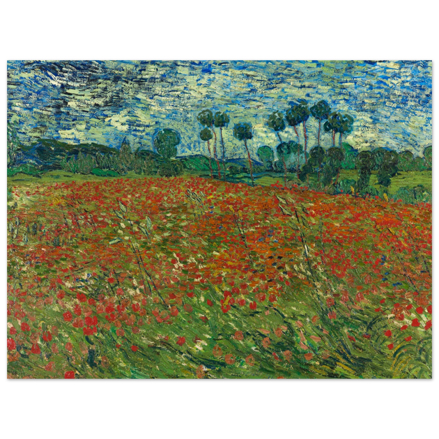 Poppy field by Vincent Van Gogh