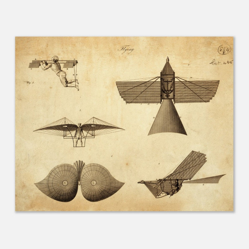 Different flying machines from the past. Old vintage airplanes. Aviation history.