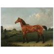 A Bay Horse in a Field by Edmund Bristow old painting 1825.