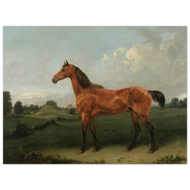 A Bay Horse in a Field by Edmund Bristow old painting 1825.
