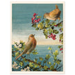 About Robins vintage cute bird illustration by Lady Lindsay.