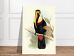 Toucan by John Gould XIX Century. Antique bird painting