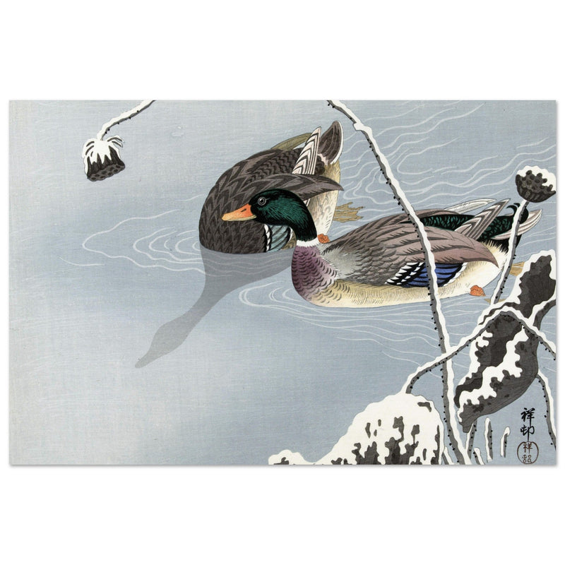 Two Mallards near a Snow-Covered Lotus by Ohara Koson