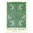 William Morris Pimpernel 1876. Green leaves and flowers wintage wallpaper art print.