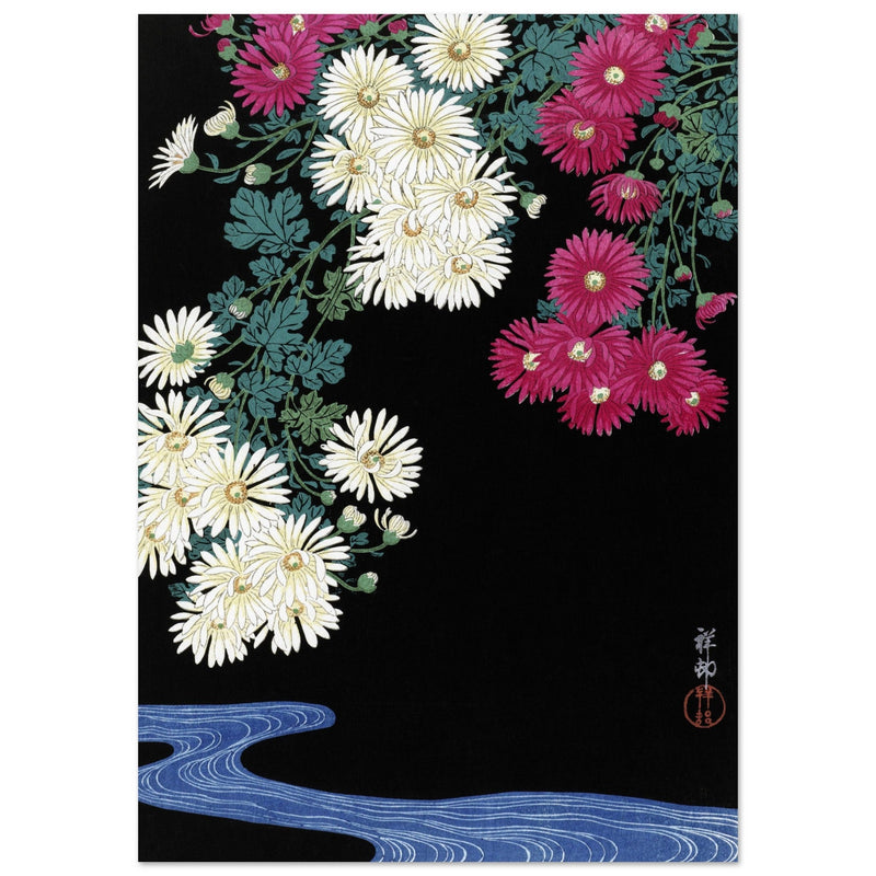 Chrysanthemums and Running Water by Ohara Koson,