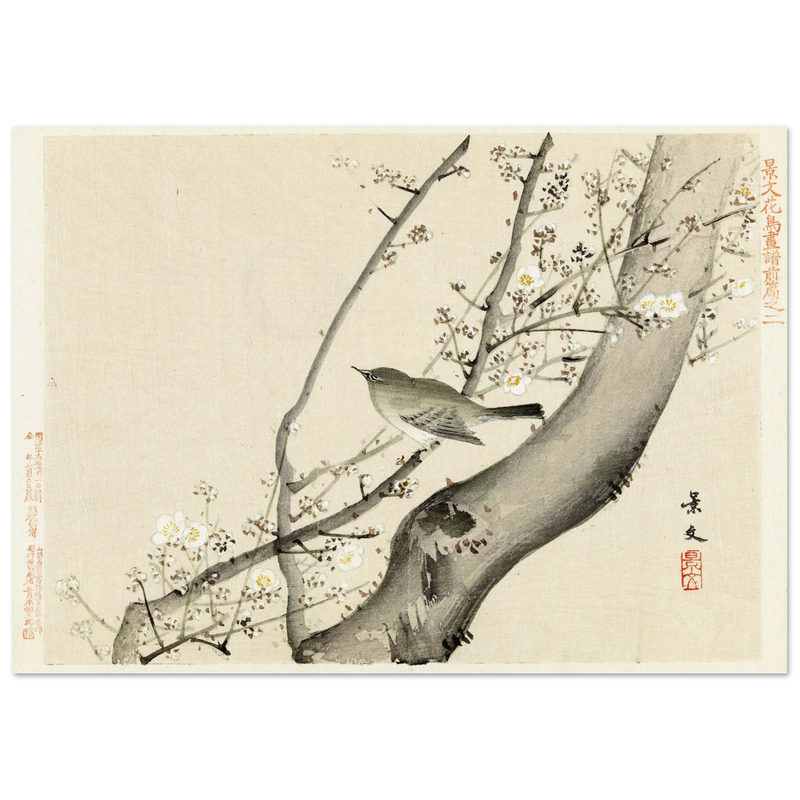 Bird in tree with white blossom by Matsumura Keibun, 1892