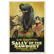 Sally of the Sawdust by D.W Griffith movie poster.