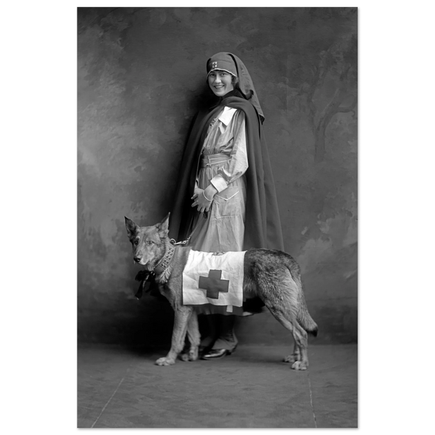 Red Cross nurse with dog poster reproduction by Harris & Ewing 1915-1918