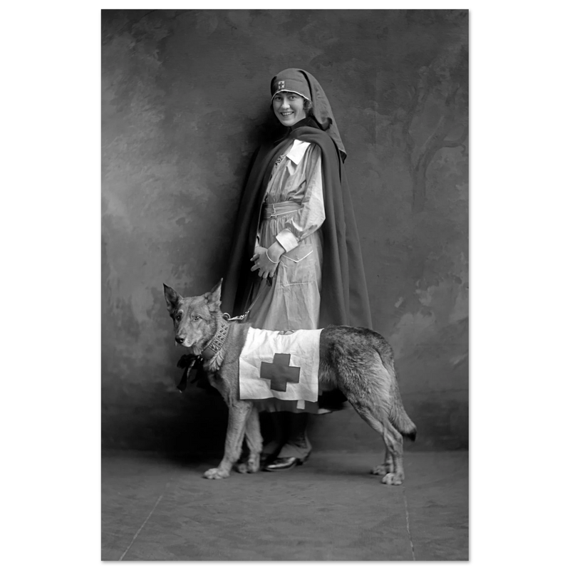 Red Cross nurse with dog poster reproduction by Harris & Ewing 1915-1918