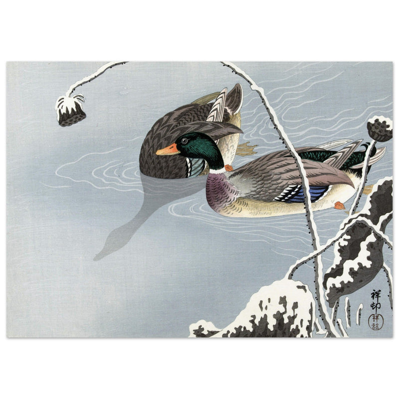 Two Mallards near a Snow-Covered Lotus by Ohara Koson