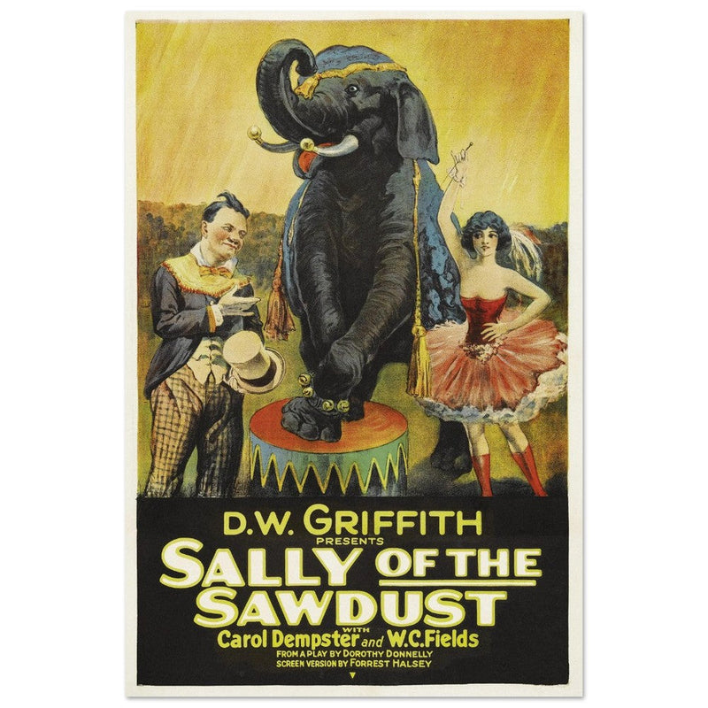 Sally of the Sawdust by D.W Griffith movie poster.