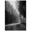 World War 2 poster. American soldier walking along forest near Bastogne .