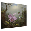 Cattleya Orchid with Two Brazilian Hummingbirds by Martin Johnson Heade