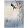 Kingfisher hunting fish by Ohara Koson  woodblock print
