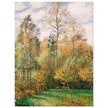 Autumn Poplars Eragny by Camille Pissarro 1894.