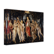 Canvas La Primavera ( Spring ) by Sandro Botticelli 1481-1482