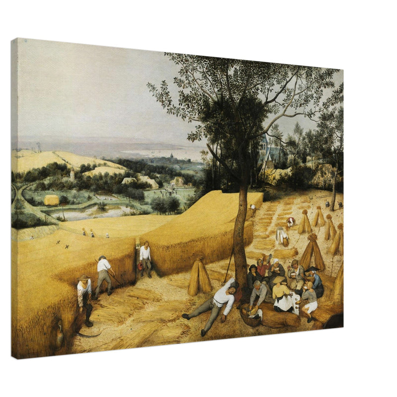 The Harvesters by Pieter Bruegel The Elder .
