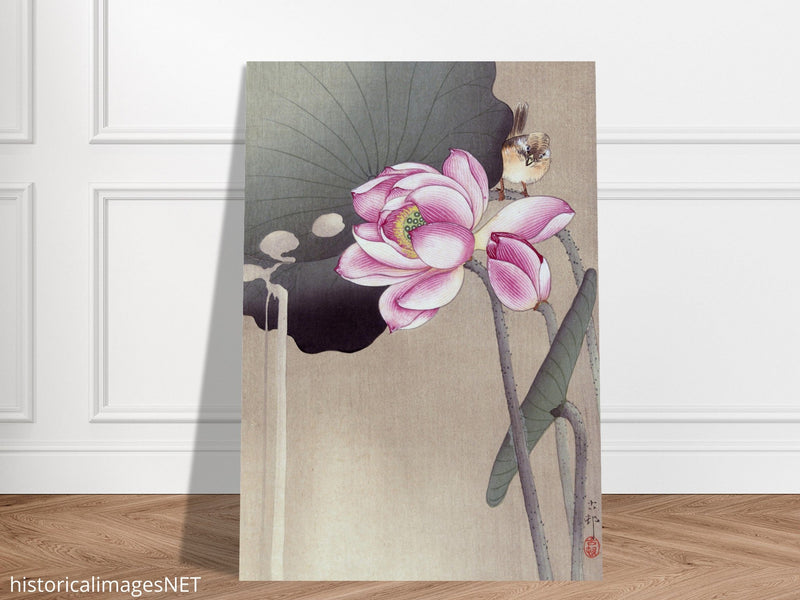 Songbird and Lotus by Ohara Koson woodblock print reproduction