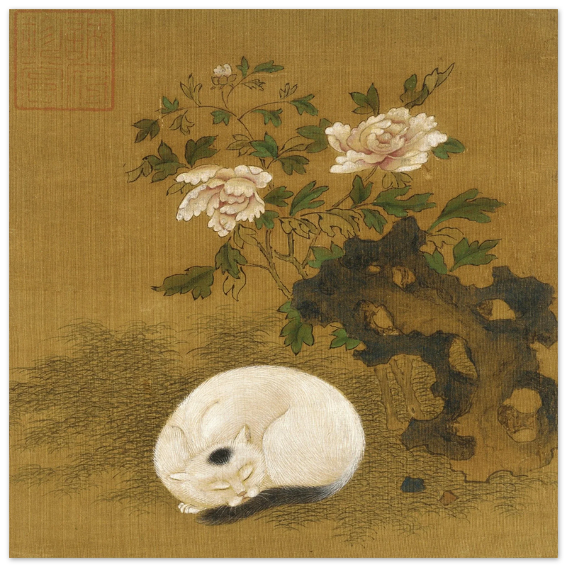 Cat, rock, and peonies